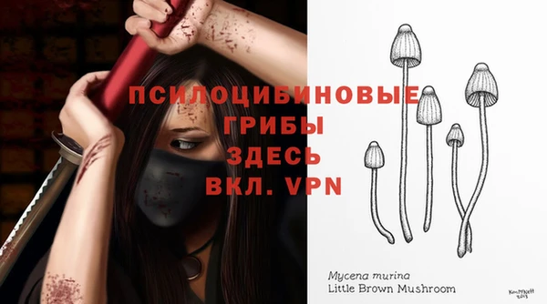 МДМА Абаза
