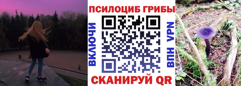 Псилоцибиновые грибы Psilocybine cubensis  Домодедово 