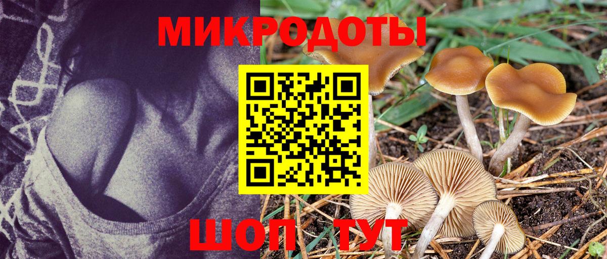Псилоцибиновые грибы мицелий  Вход с VPN  Домодедово 